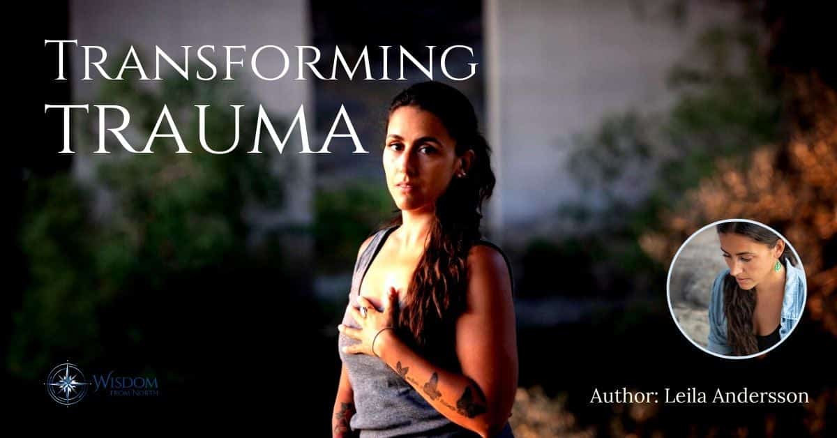 Transforming Trauma Wisdom From North